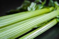 Celery branch bunch isolated on black