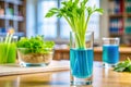 Celery Capillary Action Experiment Observing Water Transport in Plants A Visual Guide for Science Education Royalty Free Stock Photo