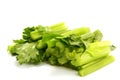 Celery