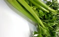 Celery. Fresh green stems with leaves Royalty Free Stock Photo