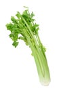 Celery Royalty Free Stock Photo