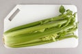 Celery Green snack Royalty Free Stock Photo