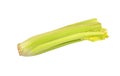 Celery with green sprout