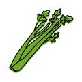 Celery herbs. Vegetable sketch. Color simple icon. Hand drawn vector doodle illustration Royalty Free Stock Photo