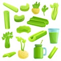 Celery icons set, cartoon style