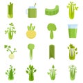 Celery icons set flat vector isolated