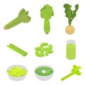 Celery icons set, isometric style