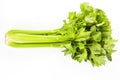 Celery isolated.