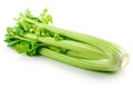 Celery isolated on white background