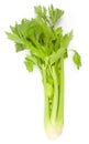 Celery isolated on white