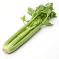 Celery isolated on white background Royalty Free Stock Photo