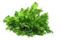 Celery Leaves