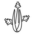 Celery leaves icon, outline style