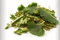 Celery leaves piled up, dried, and sliced, with a white background