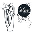 Celery linear graphic design. Black and white image of vegetables. Royalty Free Stock Photo