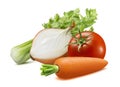 Celery, onion, carrot, tomato. Soup ingredients isolated on white background Royalty Free Stock Photo