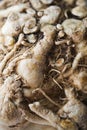 Celery root