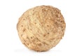 Celery root on white Royalty Free Stock Photo