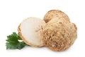 Celery root on white Royalty Free Stock Photo