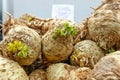 Celery roots Royalty Free Stock Photo