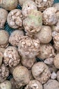 Celery roots. Selling root vegetables Royalty Free Stock Photo