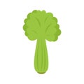 Celery salad icon flat isolated vector