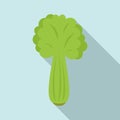 Celery salad icon, flat style