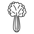 Celery salad icon, outline style