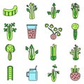 Celery salad icons set vector color