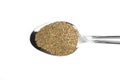 Celery Seed