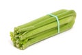 Celery Stalk Royalty Free Stock Photo