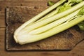 Celery Stalk