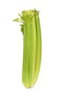 Celery Stalk Royalty Free Stock Photo