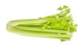 celery stalk path isolated Royalty Free Stock Photo
