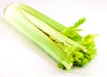 A closeup of trimmed celery sticks.