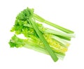 Celery stalks