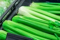 Celery stalks in farmes market. Fresh Vegetable