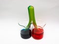 Capillary Action Experiment Royalty Free Stock Photo