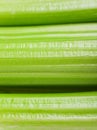 Celery stems Royalty Free Stock Photo