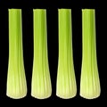 Celery Sticks Royalty Free Stock Photo