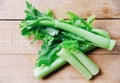 Celery sticks and leaf fresh vegetable - Bunch of celery stalk on wooden background Royalty Free Stock Photo