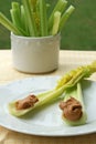 Celery Sticks with Peanut Butter Royalty Free Stock Photo