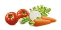 Celery, tomato, carrot, onion isolated on white background Royalty Free Stock Photo