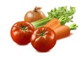 Celery, tomato, onion and carrot vegetables isolated on white ba Royalty Free Stock Photo