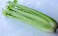 Celery on white background Royalty Free Stock Photo