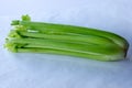 Celery on white background Royalty Free Stock Photo