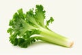 Celery On A White Background. Generative AI