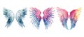 celestial angel wings ai generated watercolor