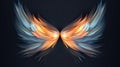 Celestial Angel Wings