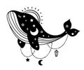 Celestial boho whale isolated clipart, space ocean animal, moon and stars decorative composition - black and white Royalty Free Stock Photo